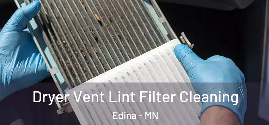  Dryer Vent Lint Filter Cleaning Edina - MN