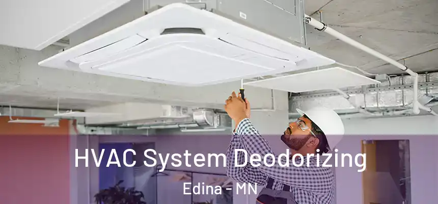  HVAC System Deodorizing Edina - MN
