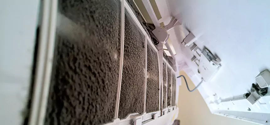 Preventive Air Duct Bacteria Removal in Edina