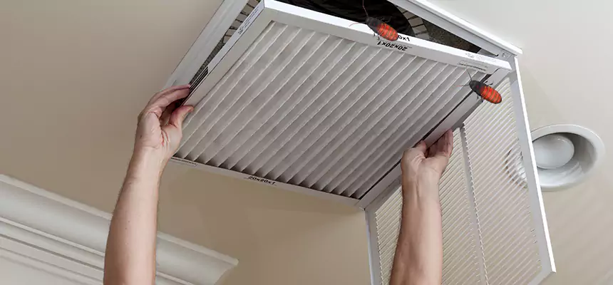 Preventive Cockroach-Proofing for Ducts in Edina