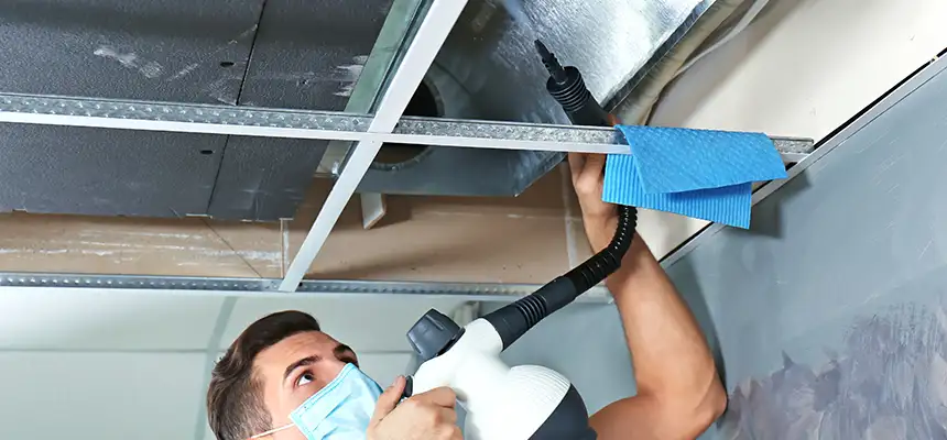 Our Air Duct Rodent Removal Services in Edina, MN