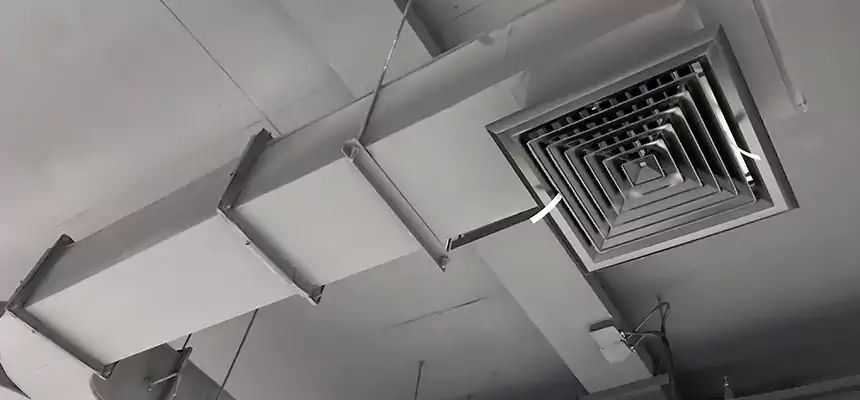 Restorative Allergy Relief Vent Cleaning – Coil, Blower & Housing Detail in Edina