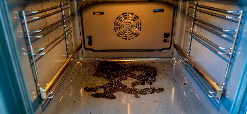 Our Dryer Vent Mold Cleaning Services in Edina, MN