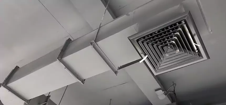 Our Pest Removal From Ducts Services in Edina, MN