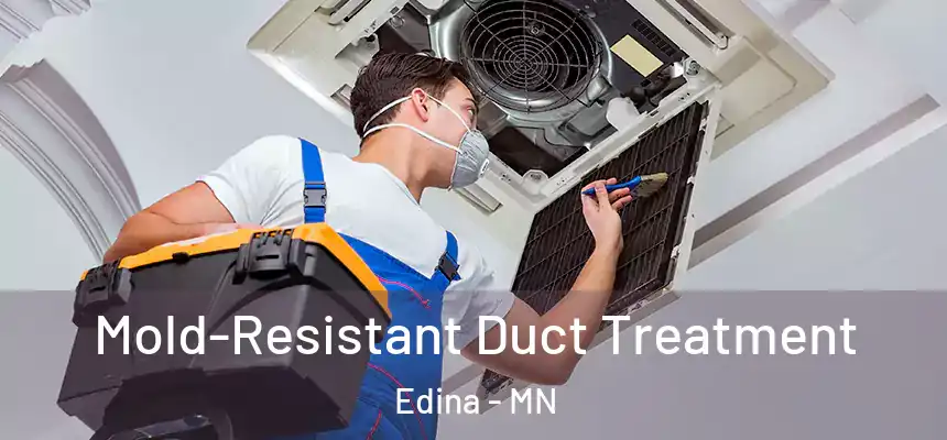  Mold-Resistant Duct Treatment Edina - MN