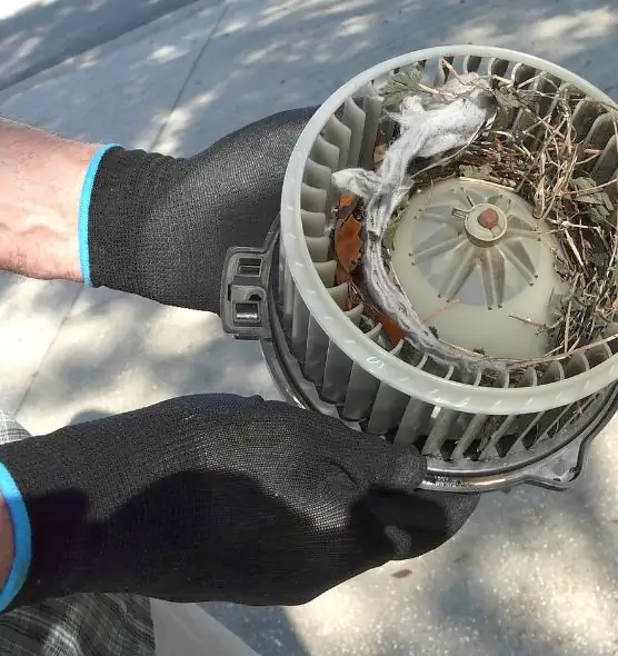 About Air Duct Mice Removal in Edina, MN