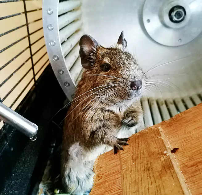 Why Homeowners & Businesses Trust Us Edina, MN?