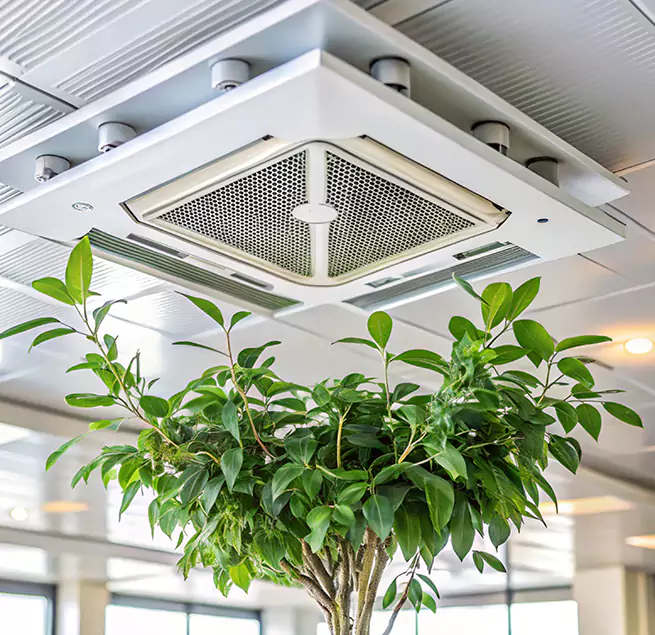 Why Homeowners & Businesses Trust Us in Edina, MN?