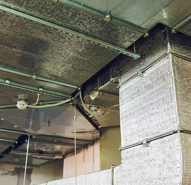 Why Homeowners & Businesses Trust Us in Edina, MN?